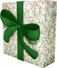 prueba gift green ribbon wrap