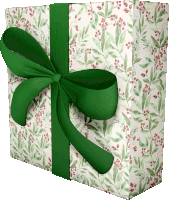Prueba Gift Sticker - Prueba Gift Green Ribbon Stickers