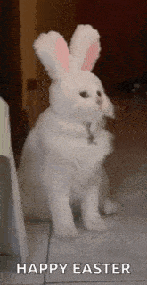 a white cat wearing bunny ears is standing on its hind legs and saying happy easter .