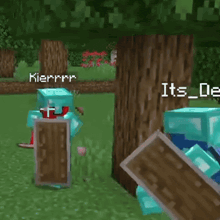 a minecraft character is holding a wooden shield in his hand