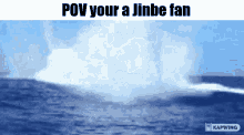 Jinbe One Piece GIF - Jinbe One Piece Jimbei GIFs