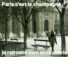 Paris Champagne GIF