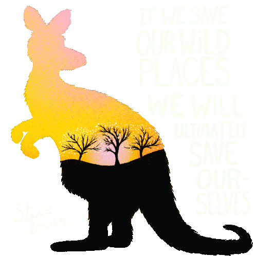 If We Save Our Wild Places We Will Ultimately Save Ourselves Sticker - If We Save Our Wild Places We Will Ultimately Save Ourselves Save The Planet Stickers