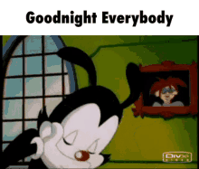 Animanics Good Night GIF - Animanics Good Night Goodnight Everybody GIFs