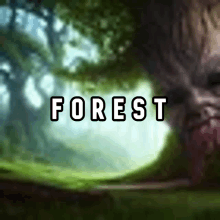Forest GIF