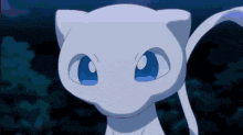 a white cat with blue eyes is looking at the camera .