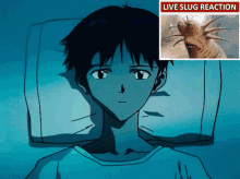 Evangelion Kowaru GIF - Evangelion Kowaru Shinji GIFs