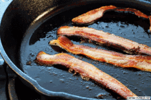 Bacon Food GIF