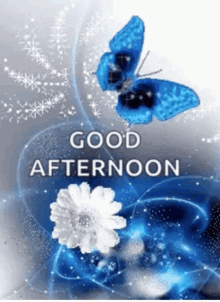 Good Afternoon Nature GIF - Good Afternoon Nature GIFs