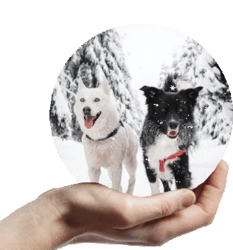 Winter Snow Sticker - Winter Snow Animated Sticker Stickers
