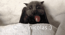 Czesc Nicolas GIF - Czesc Nicolas GIFs