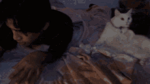 a man laying on a bed next to a white cat with red eyes