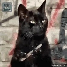 Salem Cat GIF - Salem Cat Nails GIFs