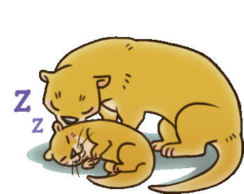 Otter Sleep Well Sticker - Otter Sleep Well Stickers