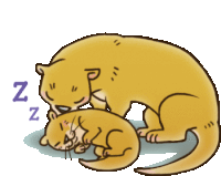 Otter Sleep Well Sticker - Otter Sleep Well Stickers