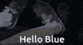 a picture of a car with the words hello blue written on it