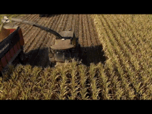 Forage Chopping GIF - Forage Chopping Corn GIFs