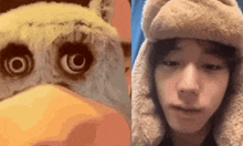 a close up of a stuffed animal and a close up of a man wearing a hat .