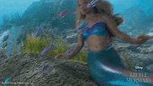 swimming with fish ariel the little mermaid underwater under the sea