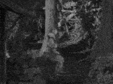 a black and white photo of three men holding swords in a forest