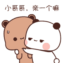 love bears