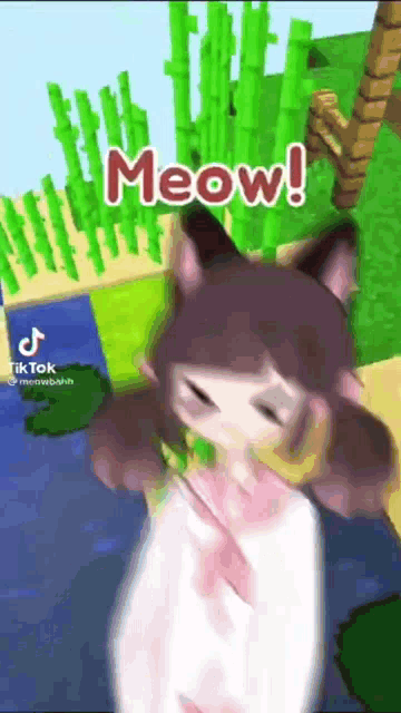 Meowbah, creating Kawaii art!!