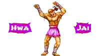 a pixel art illustration of a fighter with the words hwa and jai on the bottom