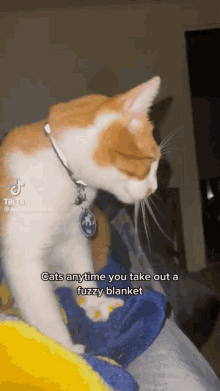 Fluffy Crazy GIF - Fluffy Crazy Cat GIFs