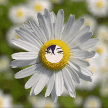 Carsonlarson Flower GIF