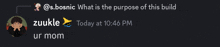 a screenshot of a conversation between s.bosnic and zuukle at 10:46 pm