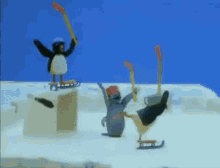 Pingu Celebrating GIF - Pingu Celebrating Win GIFs