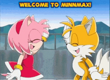Welcome To Minnmax Sonic Minnmax GIF - Welcome To Minnmax Minnmax Sonic Minnmax GIFs