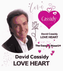 david cassidy david cassidy legacy the cassidy rose