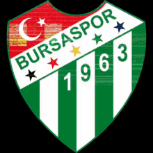 Bursaspor Fans GIF - Bursaspor Fans Bursasporum GIFs