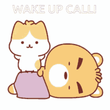 Wake Up Wake Up Calli GIF - Wake Up Wake Up Calli GIFs
