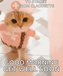 a cat dressed as a nurse with the words `` good morning get well soon '' .