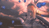 Final Fantasy 16 Barnabas GIF