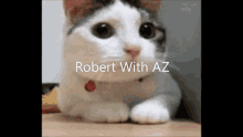 Robert With Az GIF