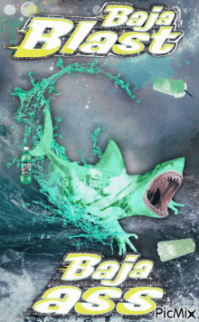 Baja Blast Shark GIF - Baja Blast Shark Frog GIFs