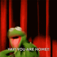 kermit the frog says yay you are home in front of red curtains
