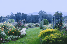 The Garden GIF - The Garden GIFs