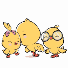 chicks chickies