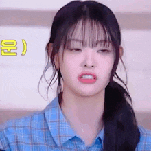 a close up of a girl wearing a blue plaid shirt and a ponytail making a funny face .