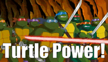 Tmnt Turtle Power GIF - Tmnt Turtle Power Turtles Forever GIFs