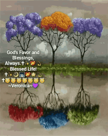 Blessings Trees GIF - Blessings Trees Water GIFs