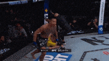 a ufc fight between silva and van is being shown on tv