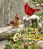 Merry Christmas Happy Holidays GIF - Merry Christmas Christmas Happy Holidays GIFs