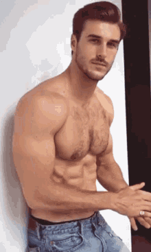 Chesthair Muscles GIF - Chesthair Muscles GIFs