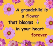 Grandchildren GIF - Grandchildren GIFs