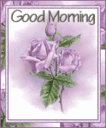 Good Morning Flowers GIF - Good Morning Flowers Purple GIFs